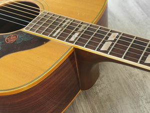 1980 Morris WD-35 Dove Japanese Vintage Acoustic Guitar (Natural)