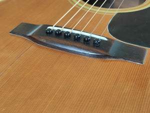 's Tokai Cat's Eyes CE Japanese Vintage Acoustic Guitar