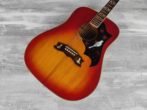 1970's Aria Japan WD-30 Dove Acoustic Guitar (Cherry Sunburst)